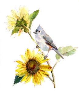 Mésange avec tournesol, 2016